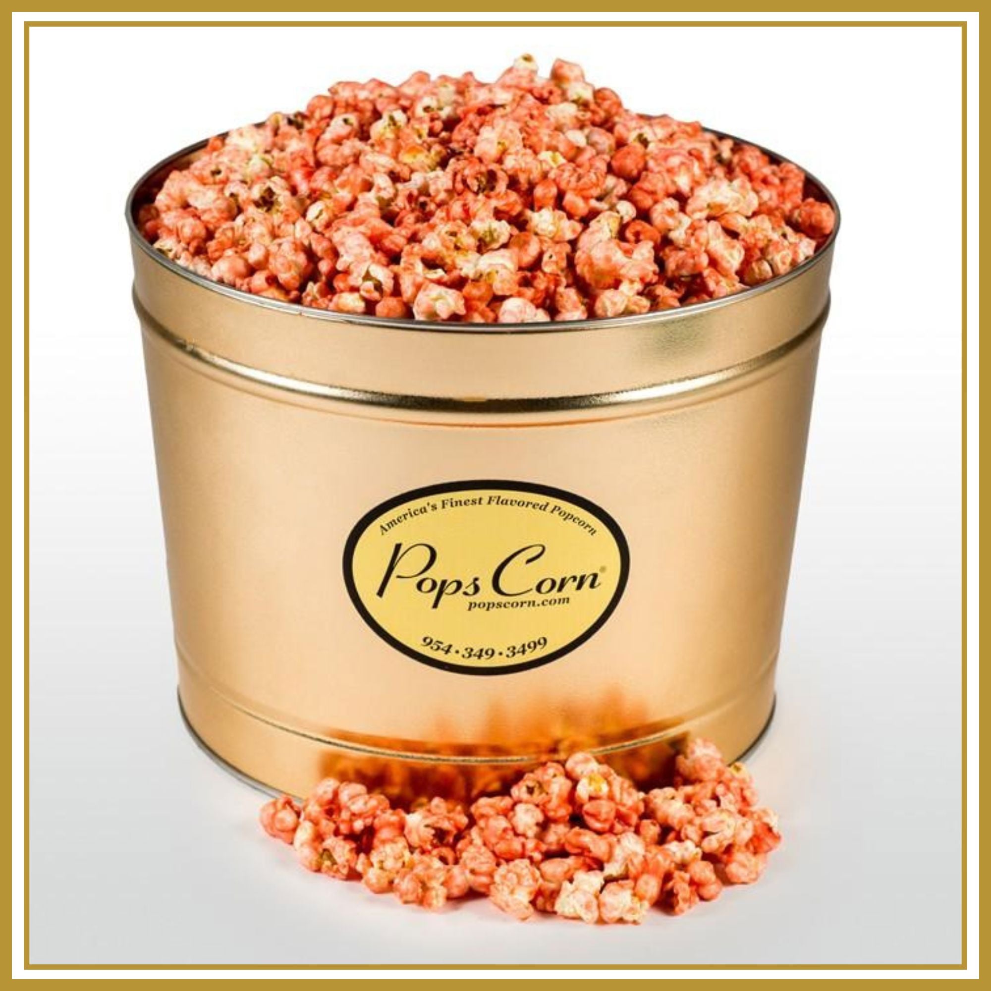 2_GAL_PINK_BORDER_2000X2000_b274f98c-1c81-4487-a402-b6883e90b273.jpg